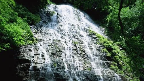 高精度高性能全自动